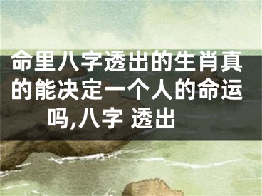 命里八字透出的生肖真的能决定一个人的命运吗,八字 透出