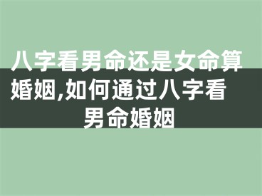 八字看男命还是女命算婚姻,如何通过八字看男命婚姻