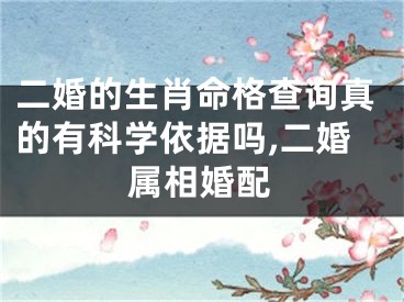二婚的生肖命格查询真的有科学依据吗,二婚属相婚配