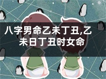 八字男命乙未丁丑,乙未日丁丑时女命