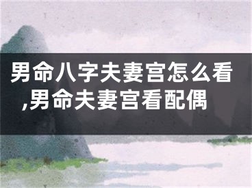 男命八字夫妻宫怎么看,男命夫妻宫看配偶