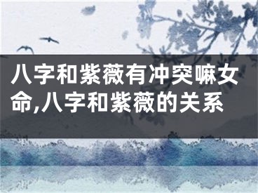 八字和紫薇有冲突嘛女命,八字和紫薇的关系