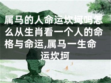 属马的人命运坎坷吗怎么从生肖看一个人的命格与命运,属马一生命运坎坷