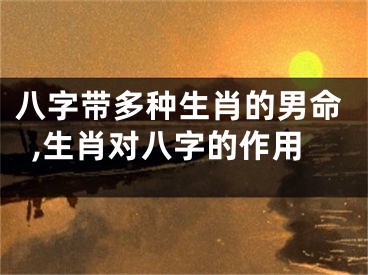 八字带多种生肖的男命,生肖对八字的作用
