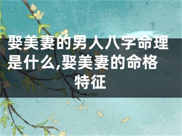 娶美妻的男人八字命理是什么,娶美妻的命格特征