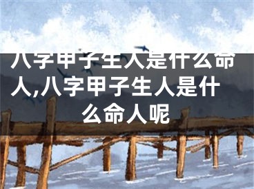 八字甲子生人是什么命人,八字甲子生人是什么命人呢