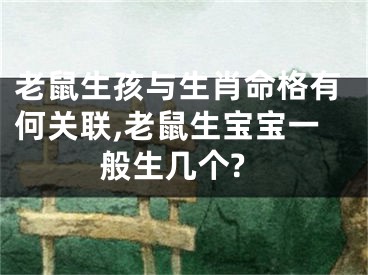 老鼠生孩与生肖命格有何关联,老鼠生宝宝一般生几个?