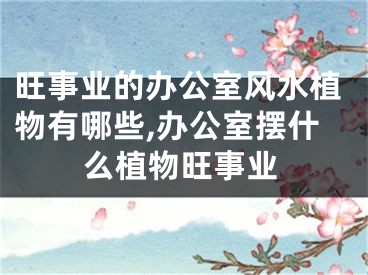 旺事业的办公室风水植物有哪些,办公室摆什么植物旺事业