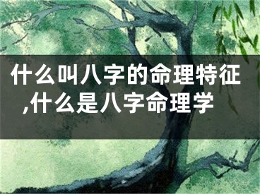 什么叫八字的命理特征,什么是八字命理学