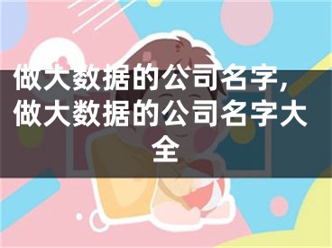 做大数据的公司名字,做大数据的公司名字大全