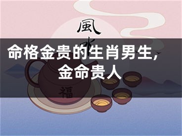 命格金贵的生肖男生,金命贵人