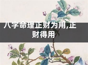 八字命理正财为用,正财得用