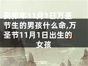 癸卯年11月1日万圣节生的男孩什么命,万圣节11月1日出生的女孩