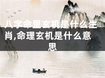 八字命里玄机是什么生肖,命理玄机是什么意思