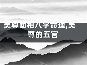 吴尊面相八字命理,吴尊的五官