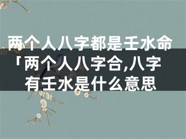 两个人八字都是壬水命「两个人八字合,八字有壬水是什么意思