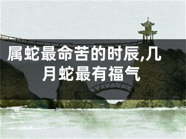属蛇最命苦的时辰,几月蛇最有福气