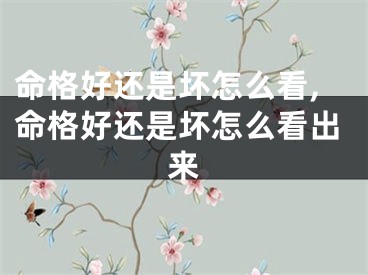 命格好还是坏怎么看,命格好还是坏怎么看出来