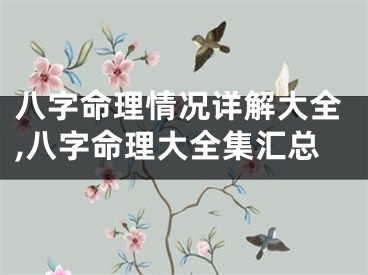 八字命理情况详解大全,八字命理大全集汇总