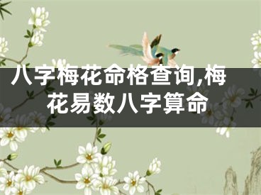 八字梅花命格查询,梅花易数八字算命