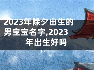 2023年除夕出生的男宝宝名字,2023年出生好吗