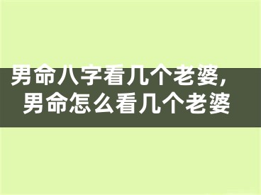 男命八字看几个老婆,男命怎么看几个老婆