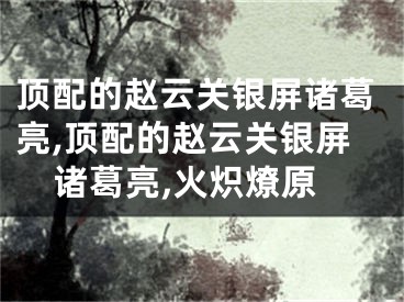 顶配的赵云关银屏诸葛亮,顶配的赵云关银屏诸葛亮,火炽燎原