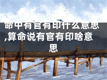 命中有官有印什么意思,算命说有官有印啥意思