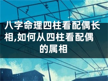 八字命理四柱看配偶长相,如何从四柱看配偶的属相