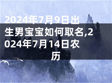 2024年7月9日出生男宝宝如何取名,2024年7月14日农历