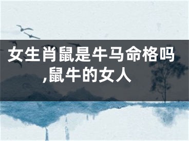 女生肖鼠是牛马命格吗,鼠牛的女人