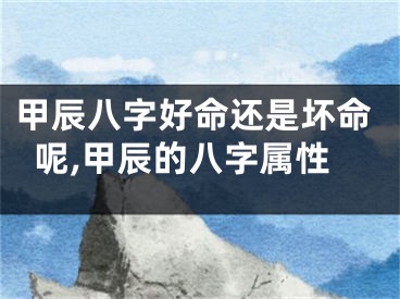 甲辰八字好命还是坏命呢,甲辰的八字属性