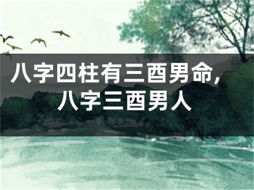 八字四柱有三酉男命,八字三酉男人