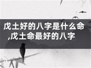 戊土好的八字是什么命,戊土命最好的八字