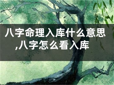 八字命理入库什么意思,八字怎么看入库