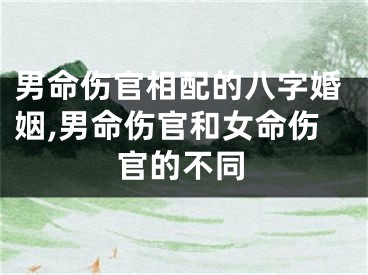 男命伤官相配的八字婚姻,男命伤官和女命伤官的不同