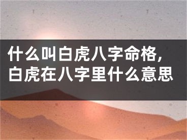 什么叫白虎八字命格,白虎在八字里什么意思