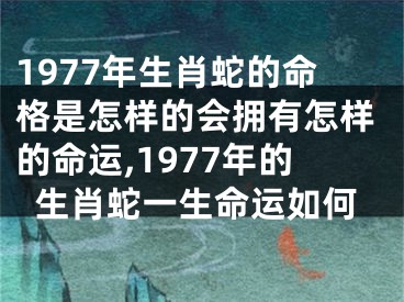 1977年生肖蛇的命格是怎样的会拥有怎样的命运,1977年的生肖蛇一生命运如何