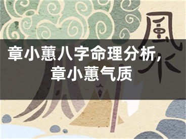 章小蕙八字命理分析,章小蕙气质