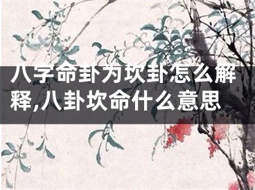 八字命卦为坎卦怎么解释,八卦坎命什么意思