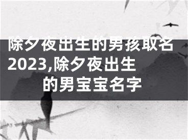 除夕夜出生的男孩取名2023,除夕夜出生的男宝宝名字