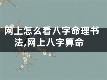 网上怎么看八字命理书法,网上八字算命