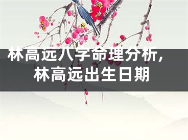 林高远八字命理分析,林高远出生日期