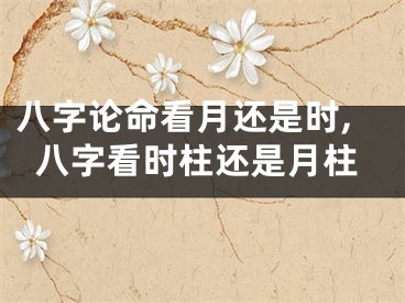 八字论命看月还是时,八字看时柱还是月柱