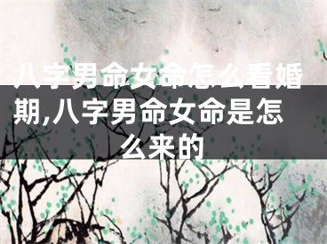 八字男命女命怎么看婚期,八字男命女命是怎么来的