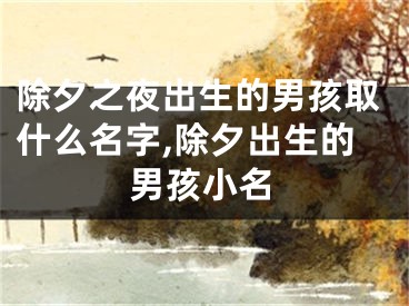 除夕之夜出生的男孩取什么名字,除夕出生的男孩小名