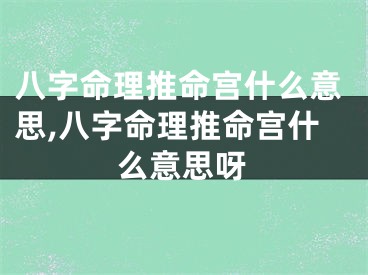 八字命理推命宫什么意思,八字命理推命宫什么意思呀