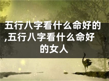 五行八字看什么命好的,五行八字看什么命好的女人