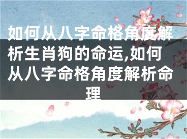 如何从八字命格角度解析生肖狗的命运,如何从八字命格角度解析命理