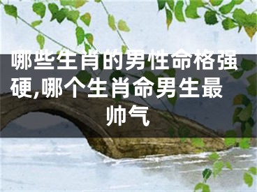 哪些生肖的男性命格强硬,哪个生肖命男生最帅气
